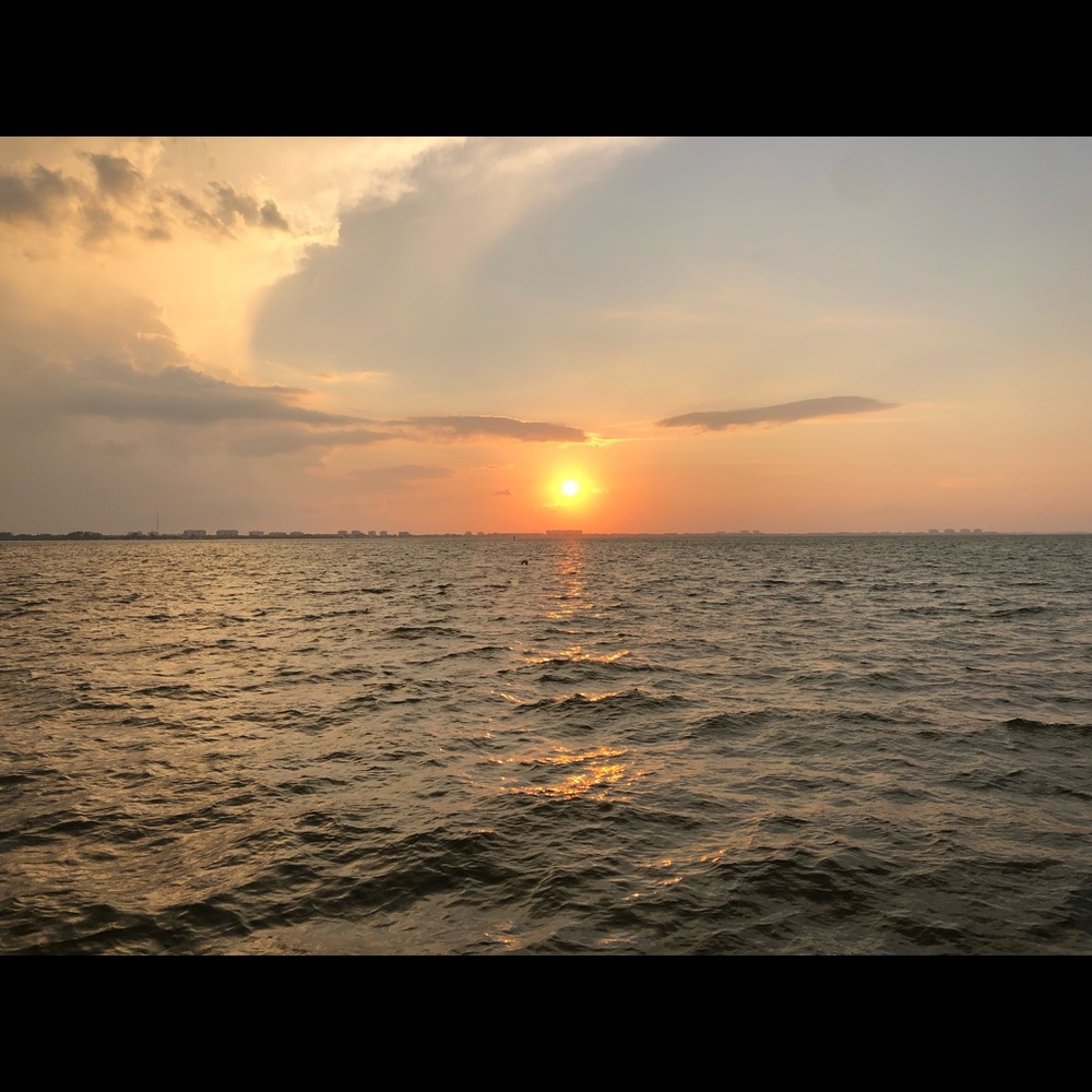 Meet your Posher, Luisa